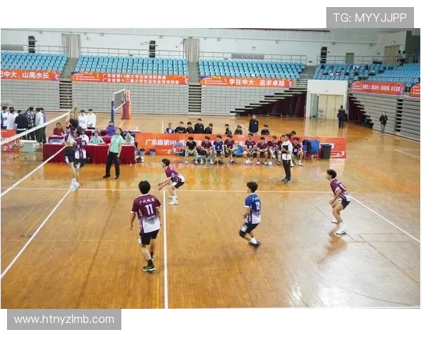 广州排球队的节奏体系与排球战术创新探索解析